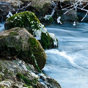 Kleiner Bach1