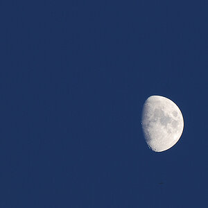 DSC 9370 NF F