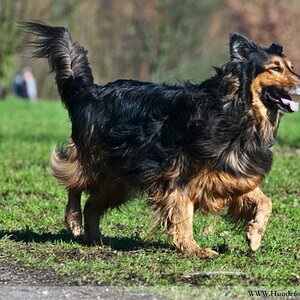 Nachher