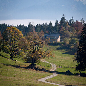 kleine Farm