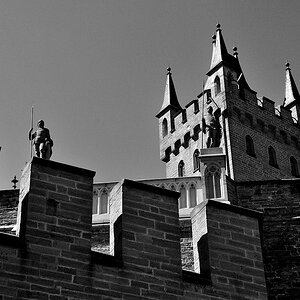 DSC 5058 Burg SW Forum