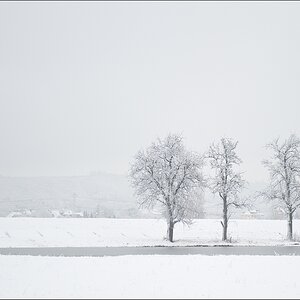 2011 01 24 08 52 09
