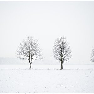 2011 01 24 08 53 06