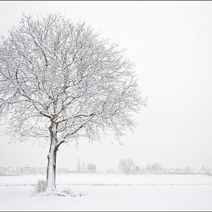 2011 01 24 09 00 50