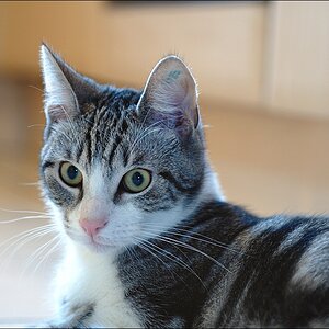 Leo