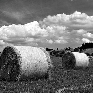 DSC 5475 SW JPEG Forum