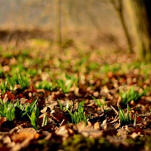 Meine Erntestelle
