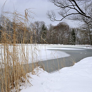 2011012512583566