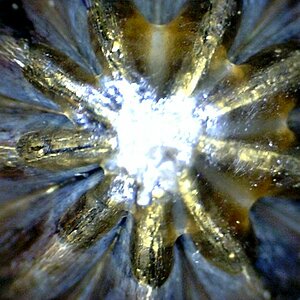 Was ist das? 3