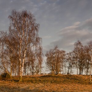 morgensonne