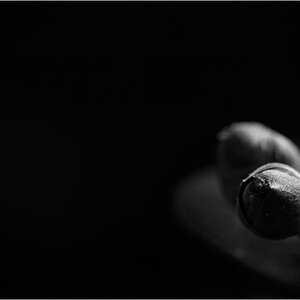 TriebDSC 0041