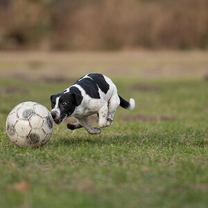 Nah am Ball....