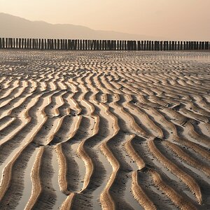Zoutelande strand