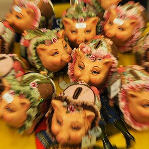 sau hässlich