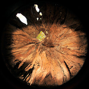 Und so sieht ein Baobab von innen aus.
Leider hatte ich nur einen externen Blitz mit
und mit dem 8mm Fischauge liess sich der Baum
unten nicht ganz au