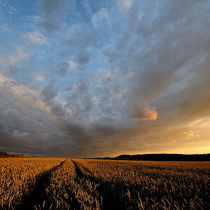 a20080720 204942 Sonnenuntergang
