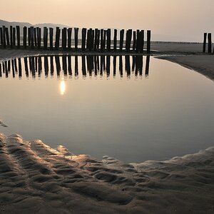Zoutelande, strand. Oase ;)