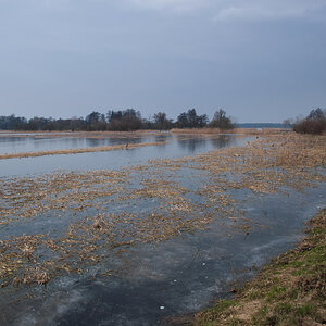 TrebelwiesenHochwasser (12 von 26)