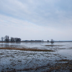 TrebelwiesenHochwasser (28 von 3)