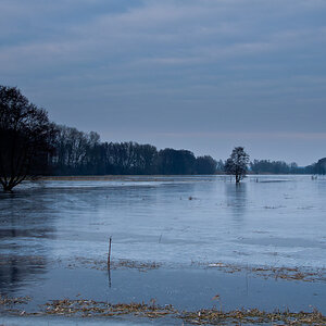 TrebelwiesenHochwasser (37 von 10)