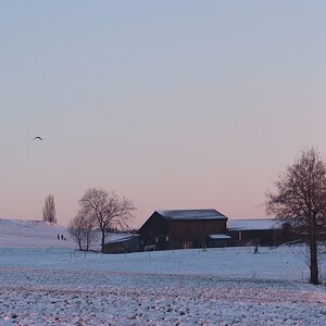 DSCF0246