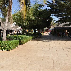 09comp Senegal 3 356