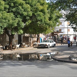 12comp Senegal 3 340