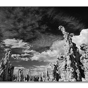 MonoLake sw