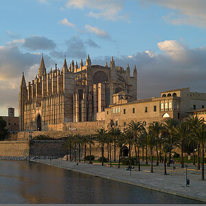 cathedral palma