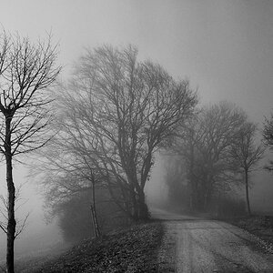 20110210 DSC 5914 Bearbeitet Bearbeitet 1