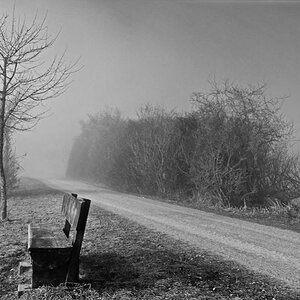 20110210 DSC 5919 bw Bearbeitet 1