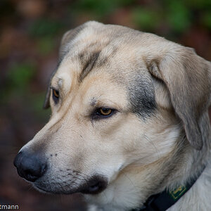 20081130 5336 [D700]   F2,8 180,00mm