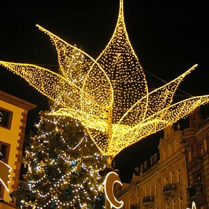 Bild 028