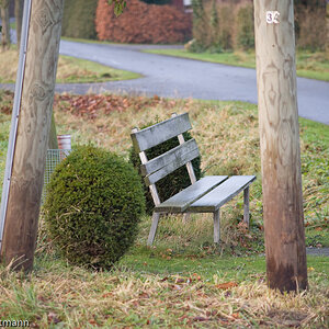 20081130 5371 [D700]   F3,5 135,00mm