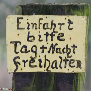 20081130 5367 [D700]   F3,5 135,00mm 2