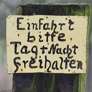 20081130 5367 [D700]   F3,5 135,00mm 3