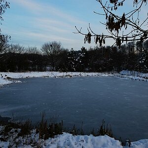 Herbst 2008 18.10. 009