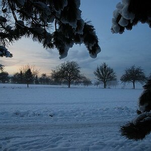 Herbst 2008 18.10. 045