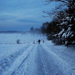 Herbst 2008 18.10. 049