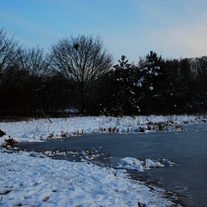 Herbst 2008 18.10. 015