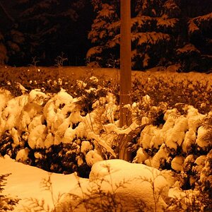 nächtliches Winterbild unter Laternenpfahl mit automatischen Weißabgleich