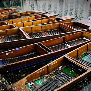 Punts in Cambridge