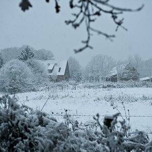 20081124 5155 [D700]   F4,0 58,00mm