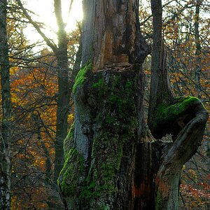 Ende und Leben