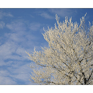 winter1