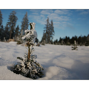 winter5