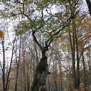 Neubeginn auf toten Grund
