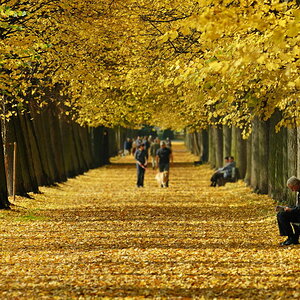 AN  Hofgarten