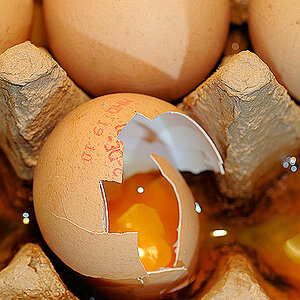 Eier