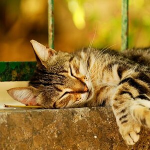 Griechenland 2 151 1